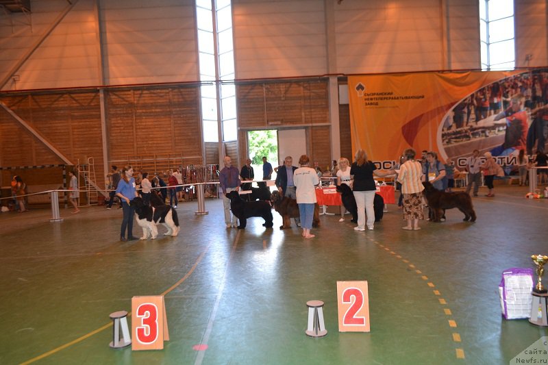 Фотография № 184248