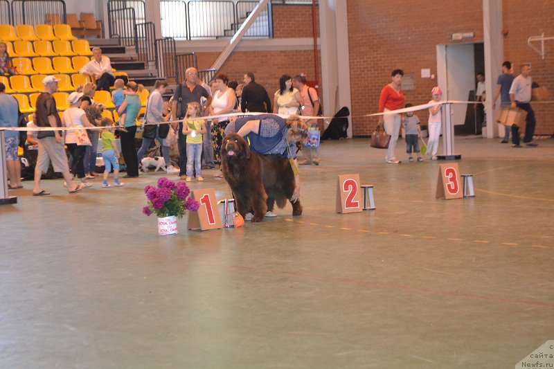 Фотография № 184249