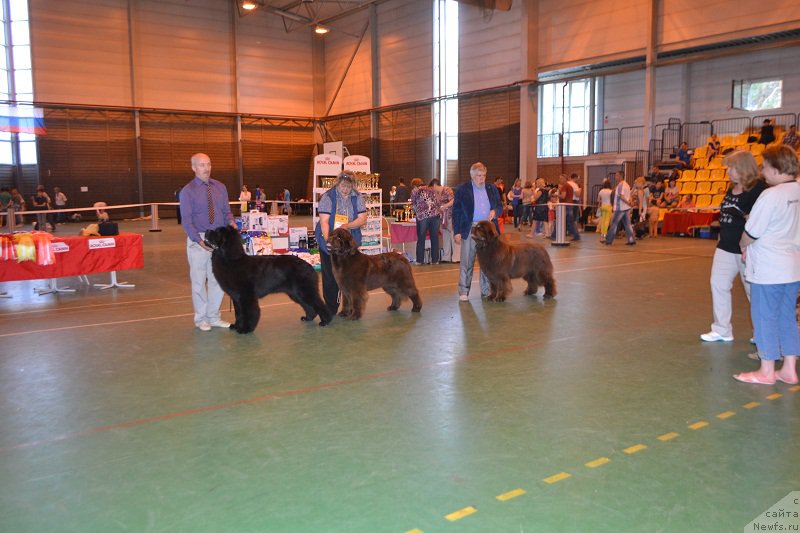 Фотография № 184250