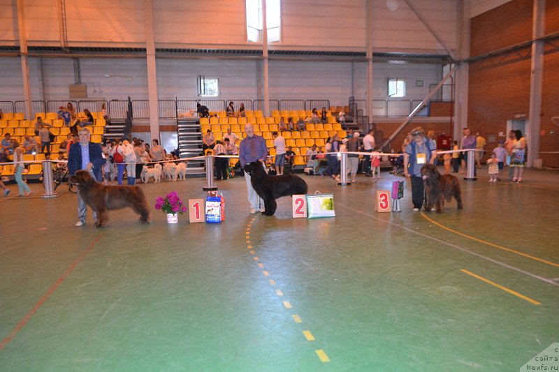 Фотография № 184251