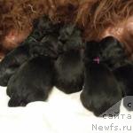 Фото: Наталья Смазчикова