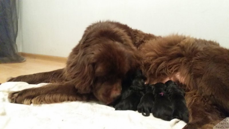 Фото: Наталья Смазчикова