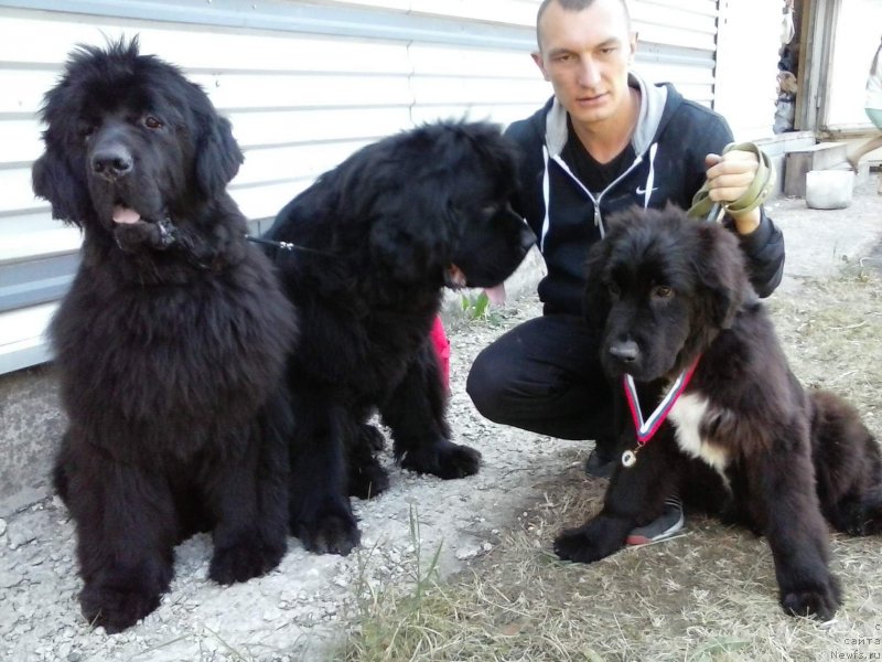 Фотография № 184262