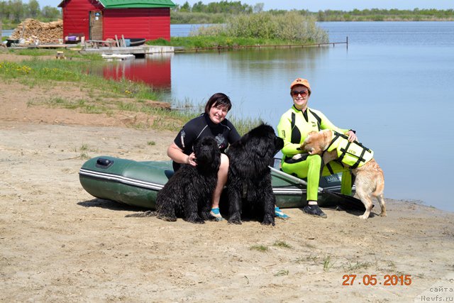 Фотография № 184266