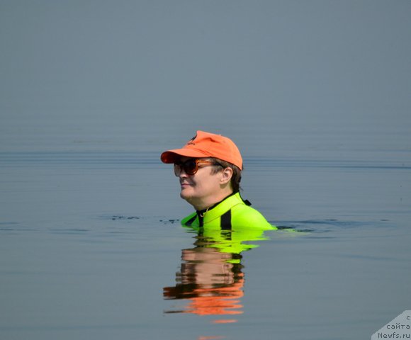 Фотография № 184267