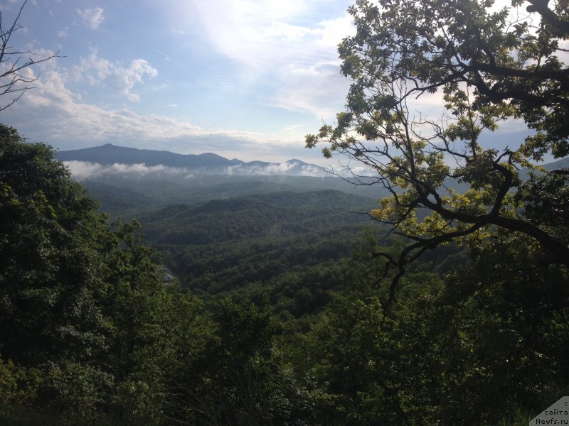 Фотография № 184276