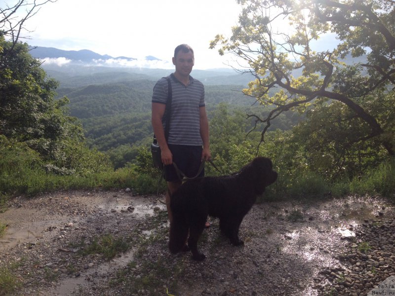 Фотография № 184277