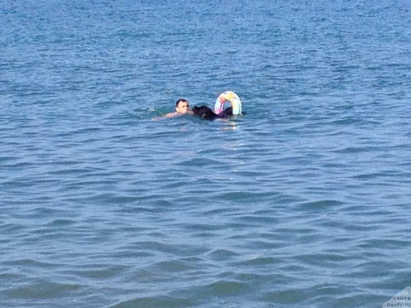 Фотография № 184283