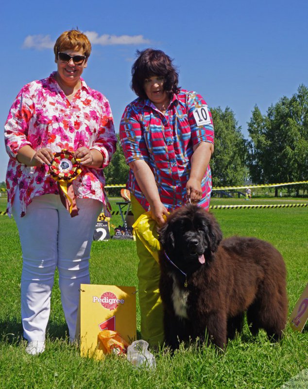 Фотография № 184286