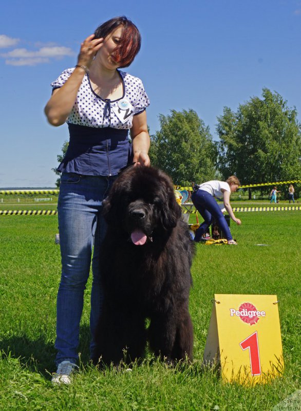 Фотография № 184288