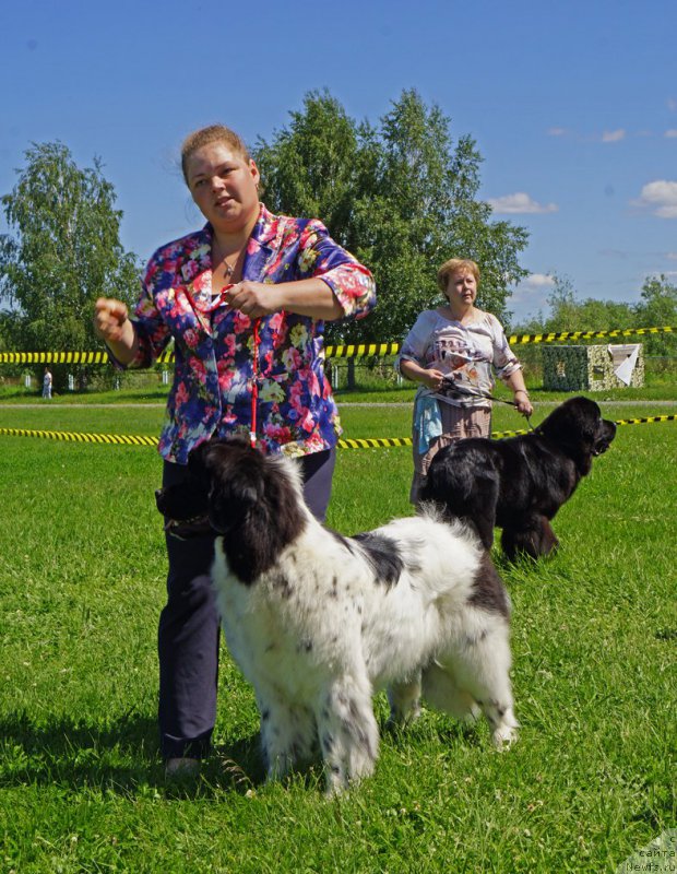 Фотография № 184290