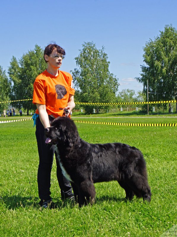 Фотография № 184292