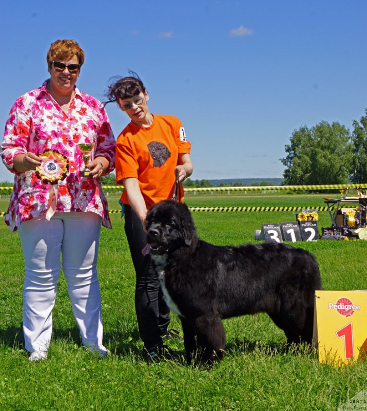 Фотография № 184294