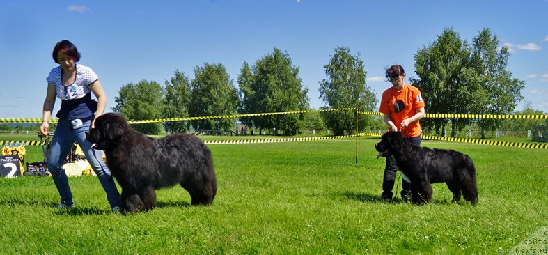 Фотография № 184296