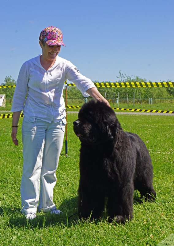 Фотография № 184303