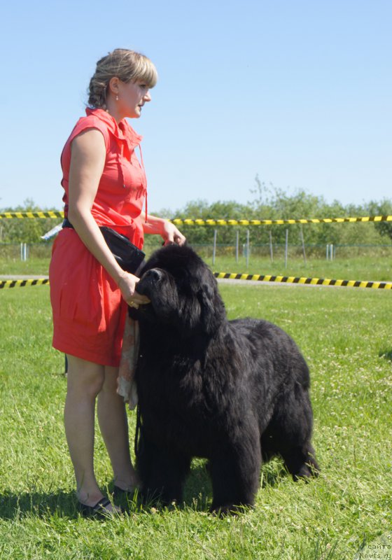 Фотография № 184304