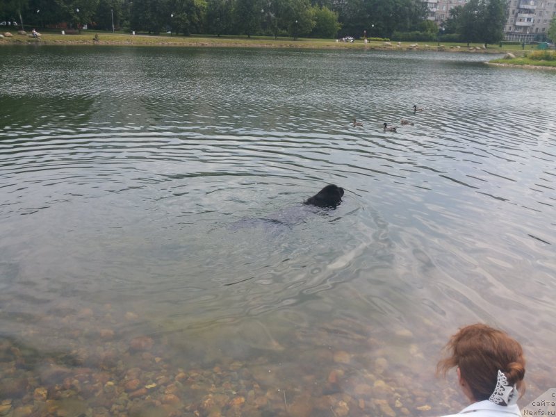 Фотография № 184307