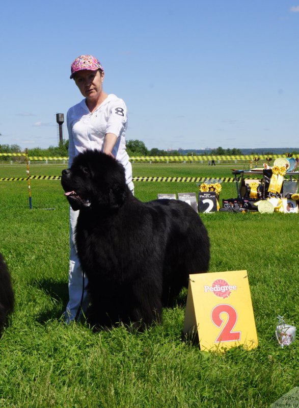 Фотография № 184310