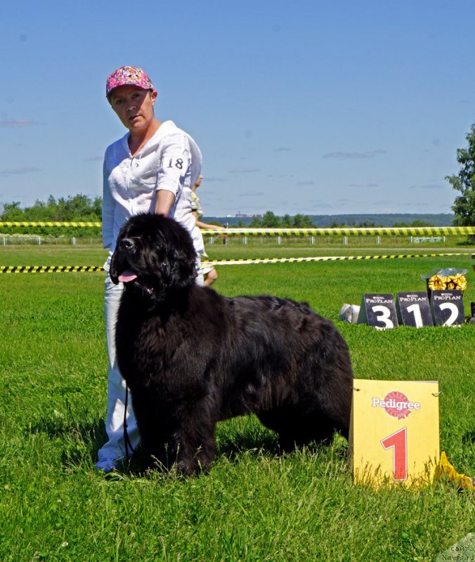 Фотография № 184317