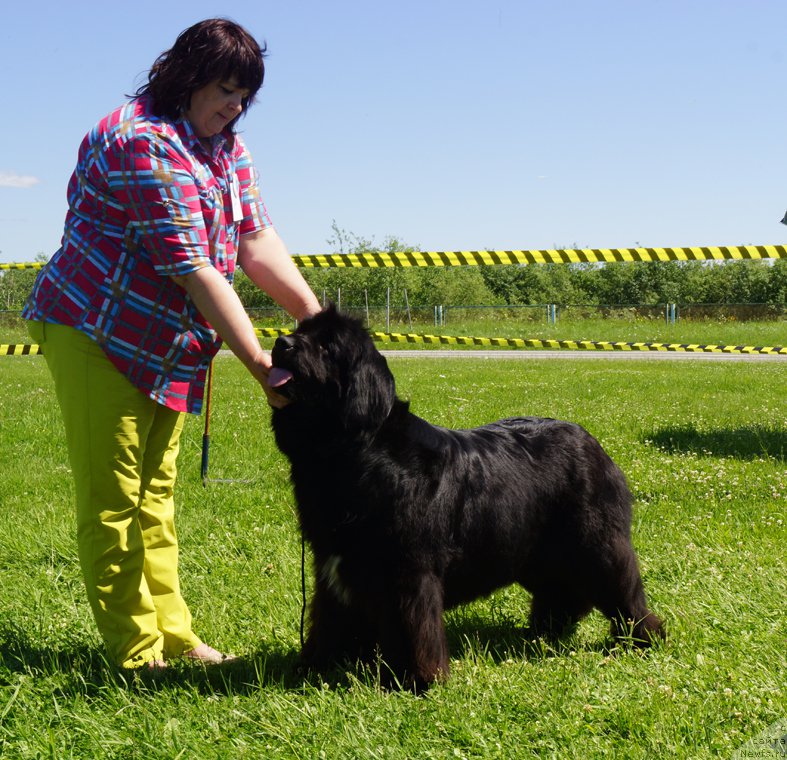 Фотография № 184319