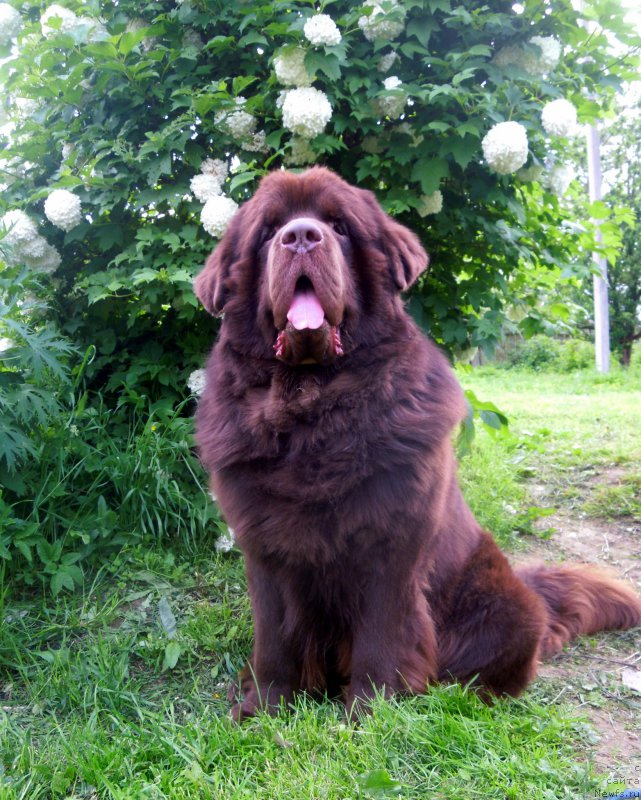 Фотография № 184329