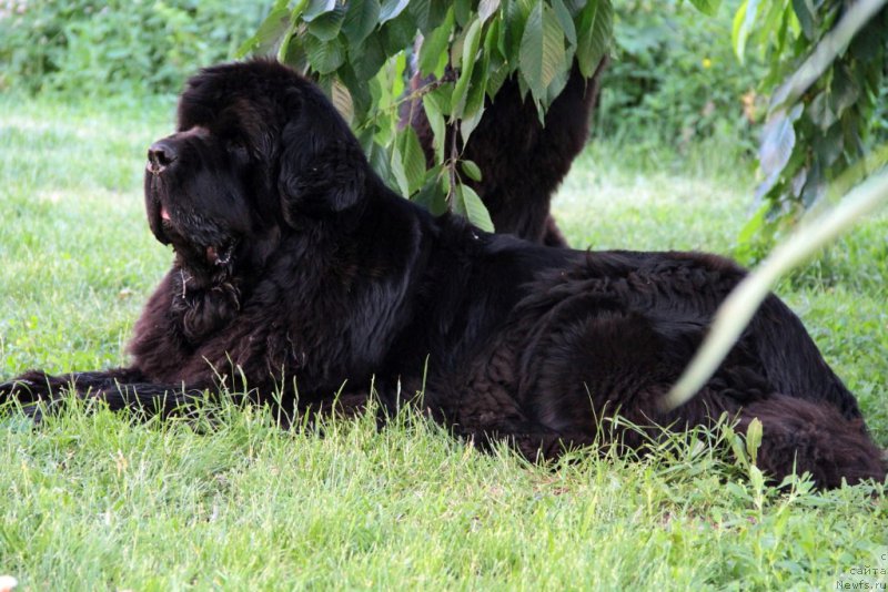 Фотография № 184336