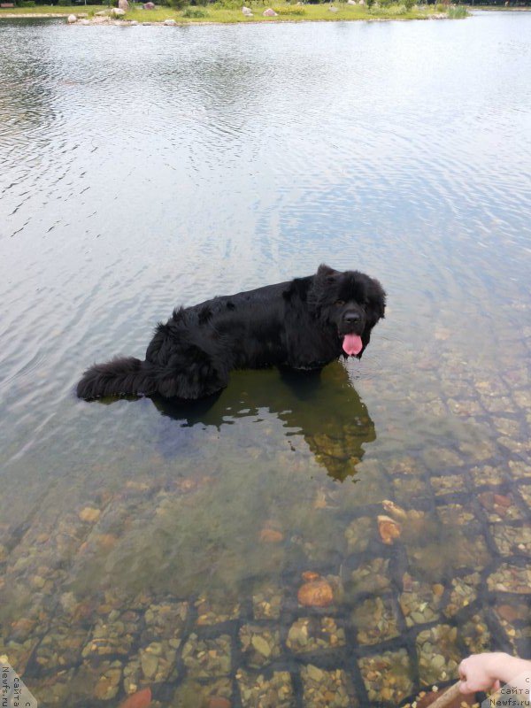 Фотография № 184371