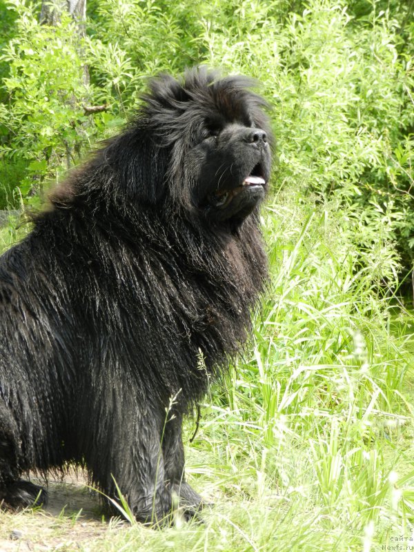 Фотография № 184400