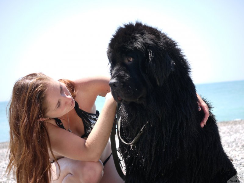 Фотография № 184410