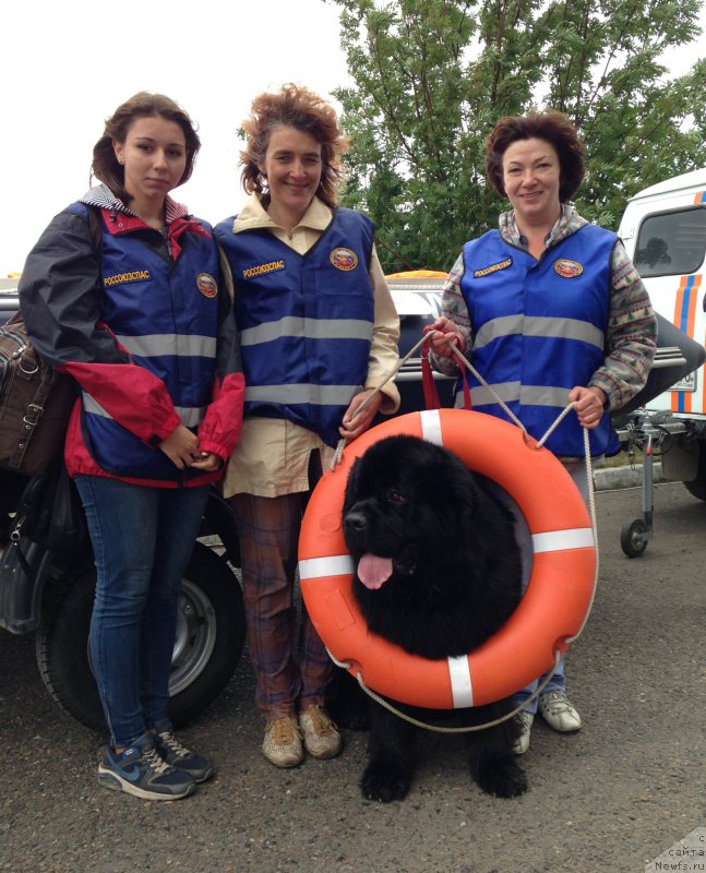 Фотография № 184442