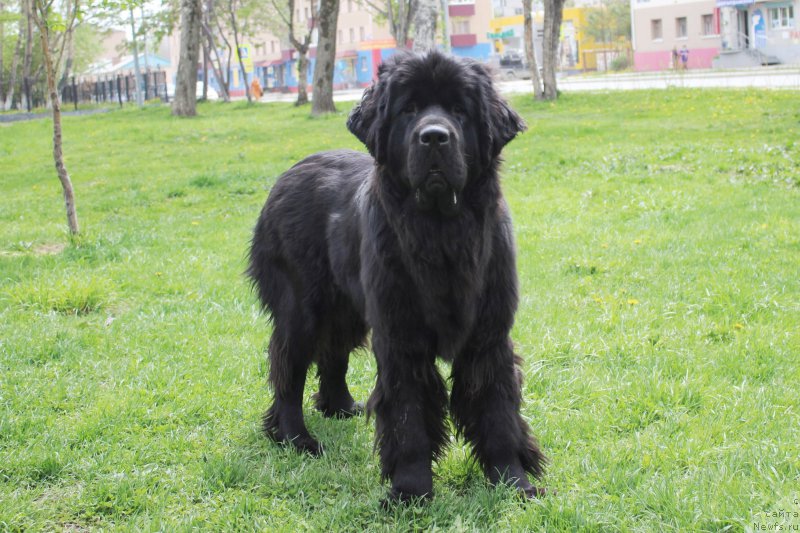 Фотография № 184469