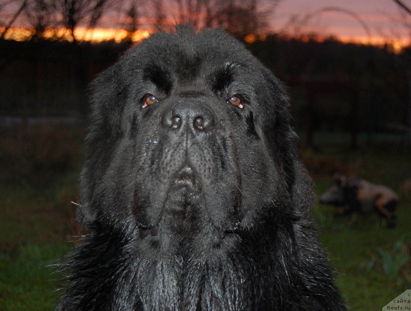 Фотография № 184471