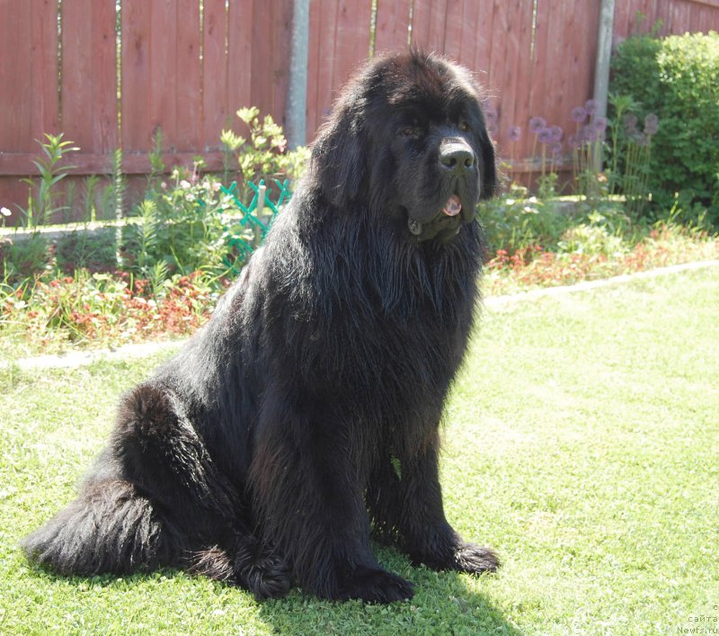 Фотография № 184472