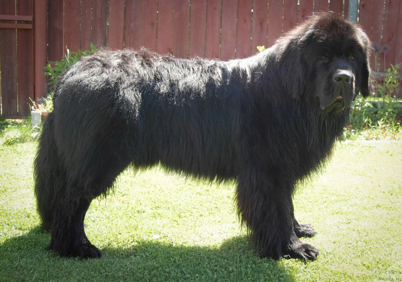 Фотография № 184473