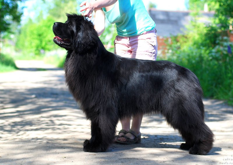 Фотография № 184475