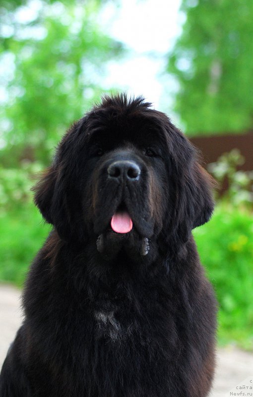 Фотография № 184482