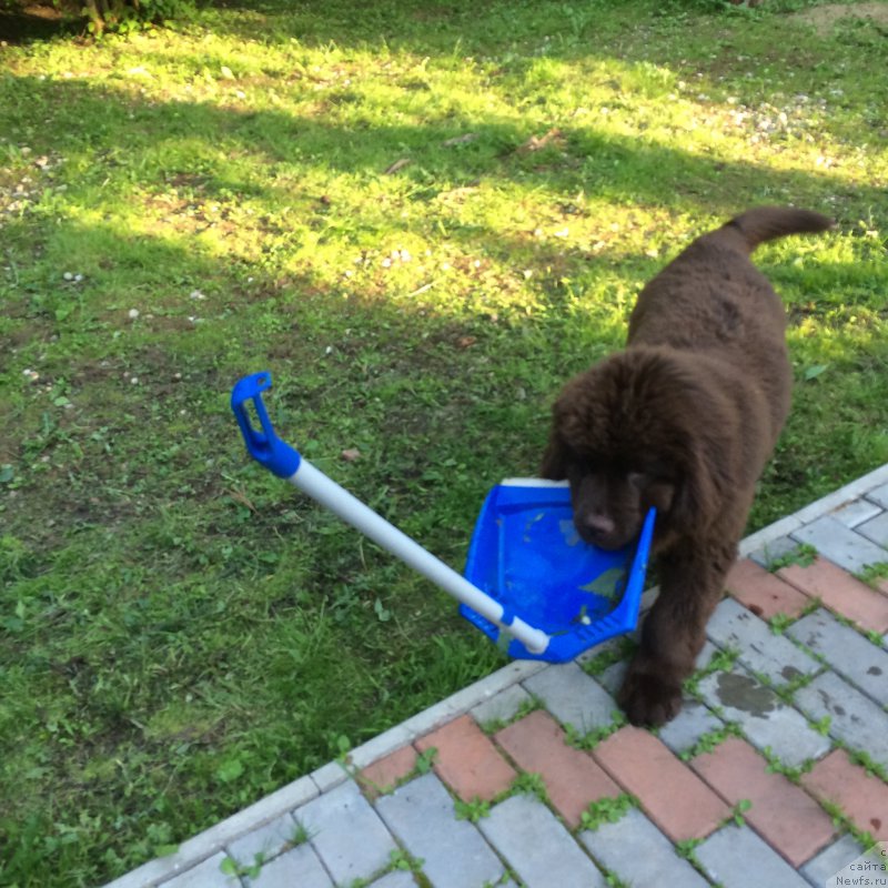 Фотография № 184493