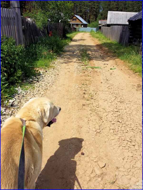 Фотография № 184496