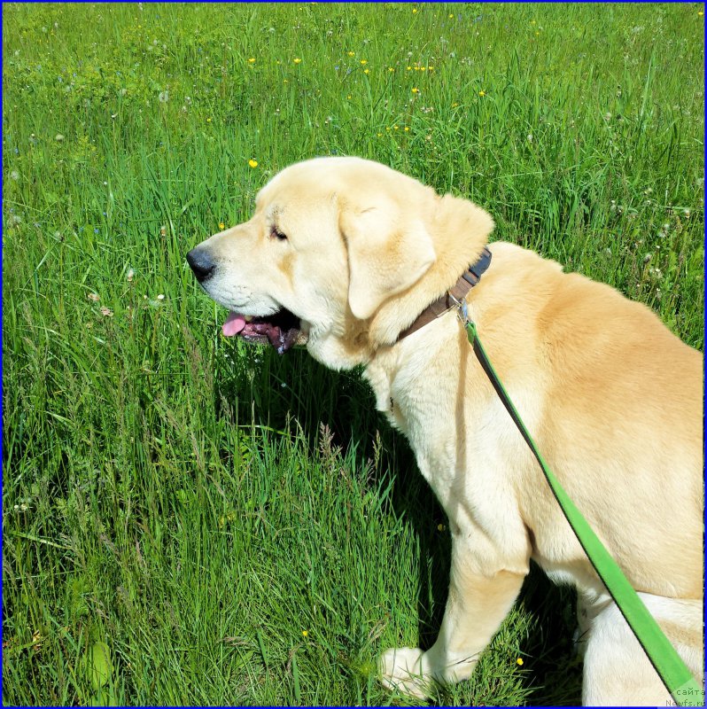 Фотография № 184498