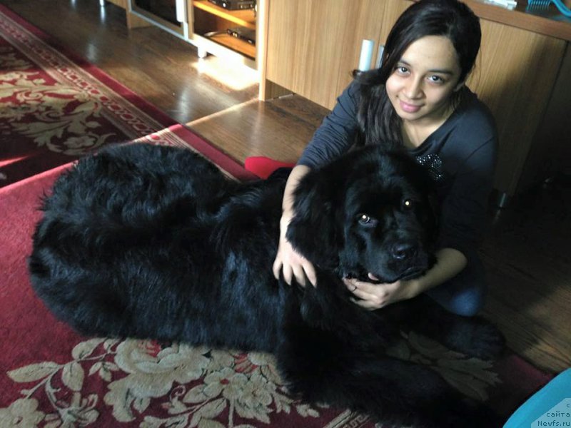 Фотография № 184521