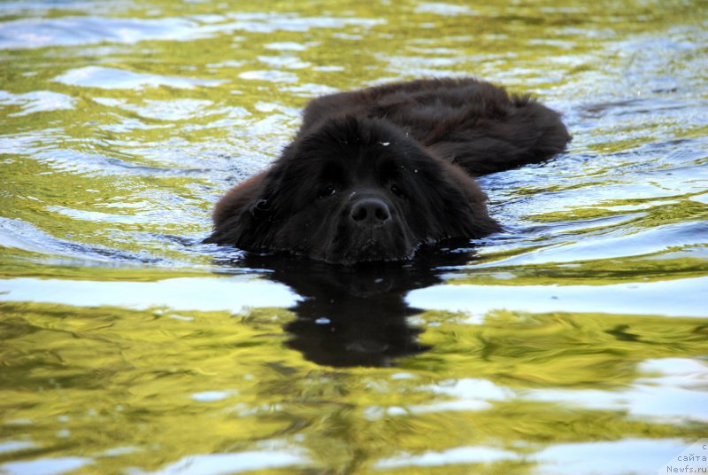 Фотография № 184539