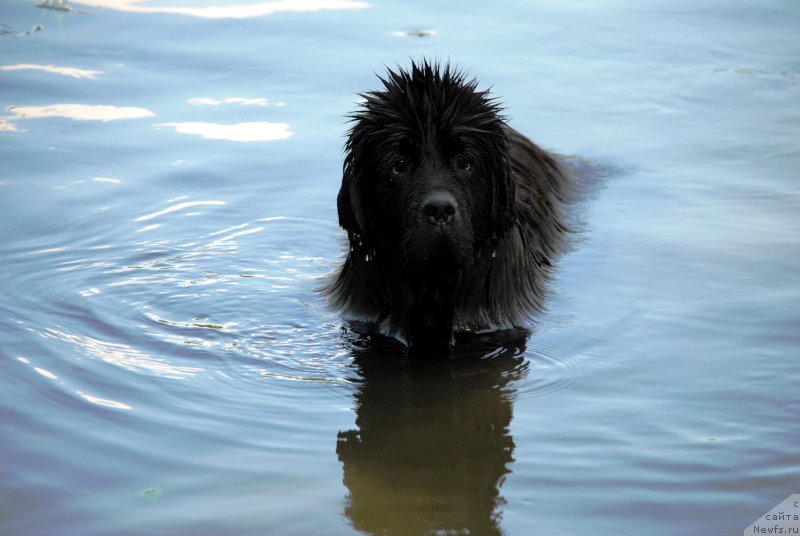 Фотография № 184540