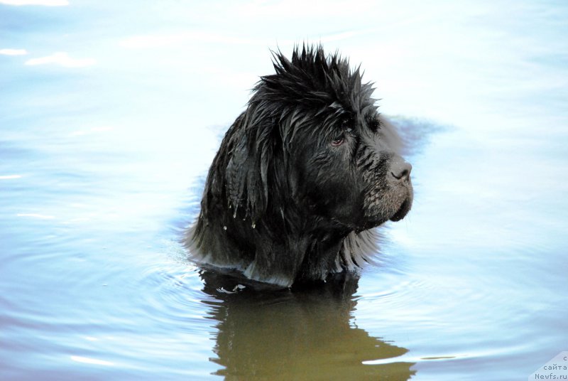 Фотография № 184541