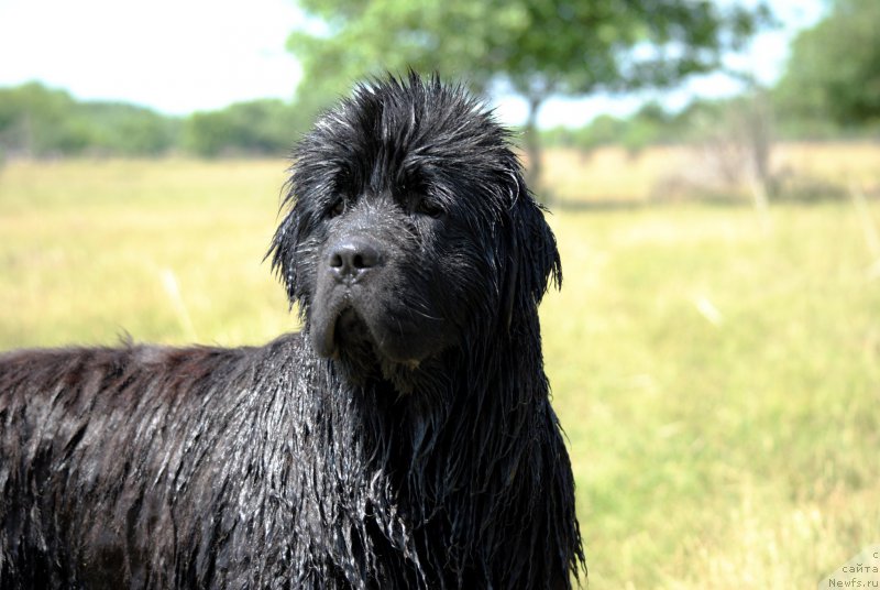 Фотография № 184543