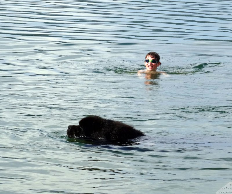 Фотография № 184550