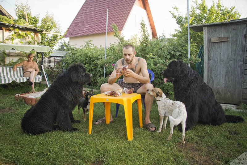 Фотография № 184556