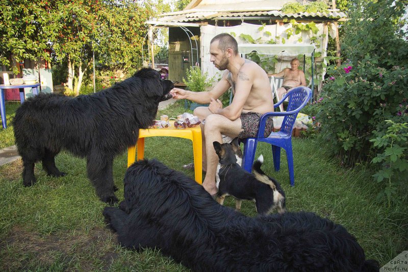 Фотография № 184558