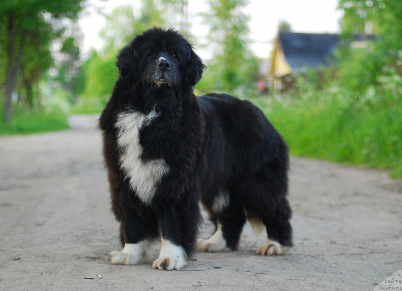 Фотография № 184560