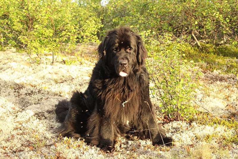 Фотография № 184566