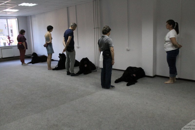 Фотография № 184577